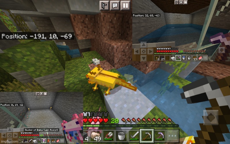 I spotted 4 axolotls at once! (Also befriended a white one) | image tagged in minecraft,axolotl | made w/ Imgflip meme maker