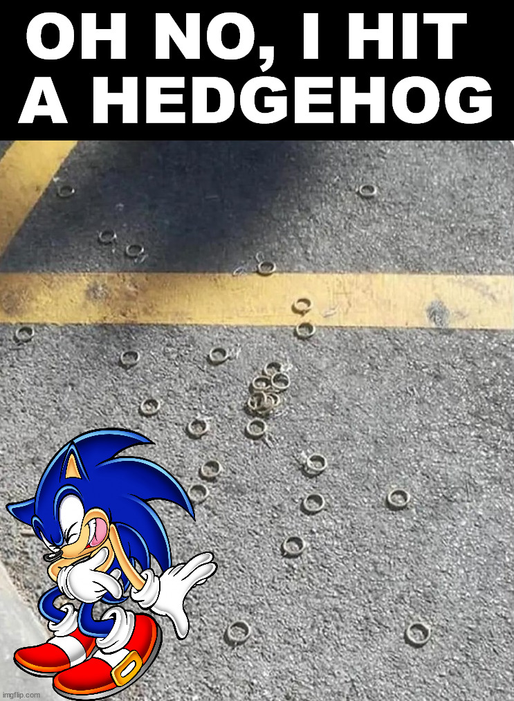 OH NO, I HIT 
A HEDGEHOG | image tagged in sonic the hedgehog,games | made w/ Imgflip meme maker