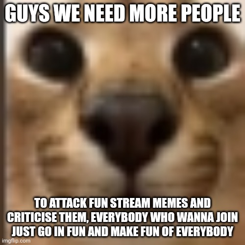 Whar | GUYS WE NEED MORE PEOPLE; TO ATTACK FUN STREAM MEMES AND CRITICISE THEM, EVERYBODY WHO WANNA JOIN JUST GO IN FUN AND MAKE FUN OF EVERYBODY | image tagged in whar | made w/ Imgflip meme maker