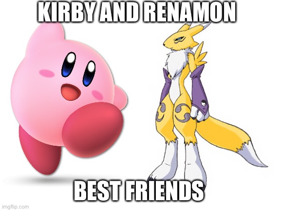 KIRBY AND RENAMON; BEST FRIENDS | image tagged in blank white template,kirby,digimon,crossover | made w/ Imgflip meme maker