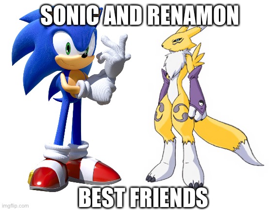 Sonic and Renamon:Best friends | SONIC AND RENAMON; BEST FRIENDS | image tagged in blank white template,digimon,sonic the hedgehog,crossover | made w/ Imgflip meme maker