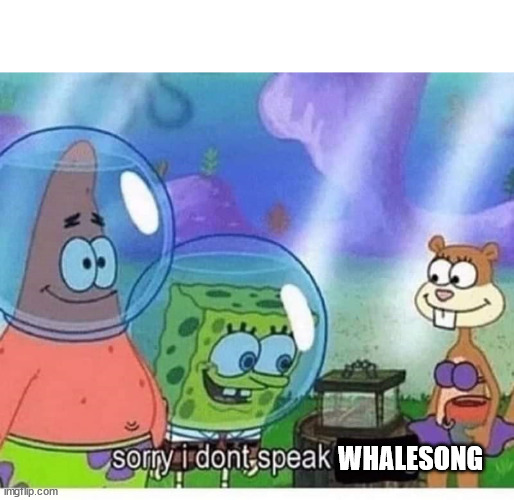 sorry i dont speak wrong | WHALESONG | image tagged in sorry i dont speak wrong | made w/ Imgflip meme maker