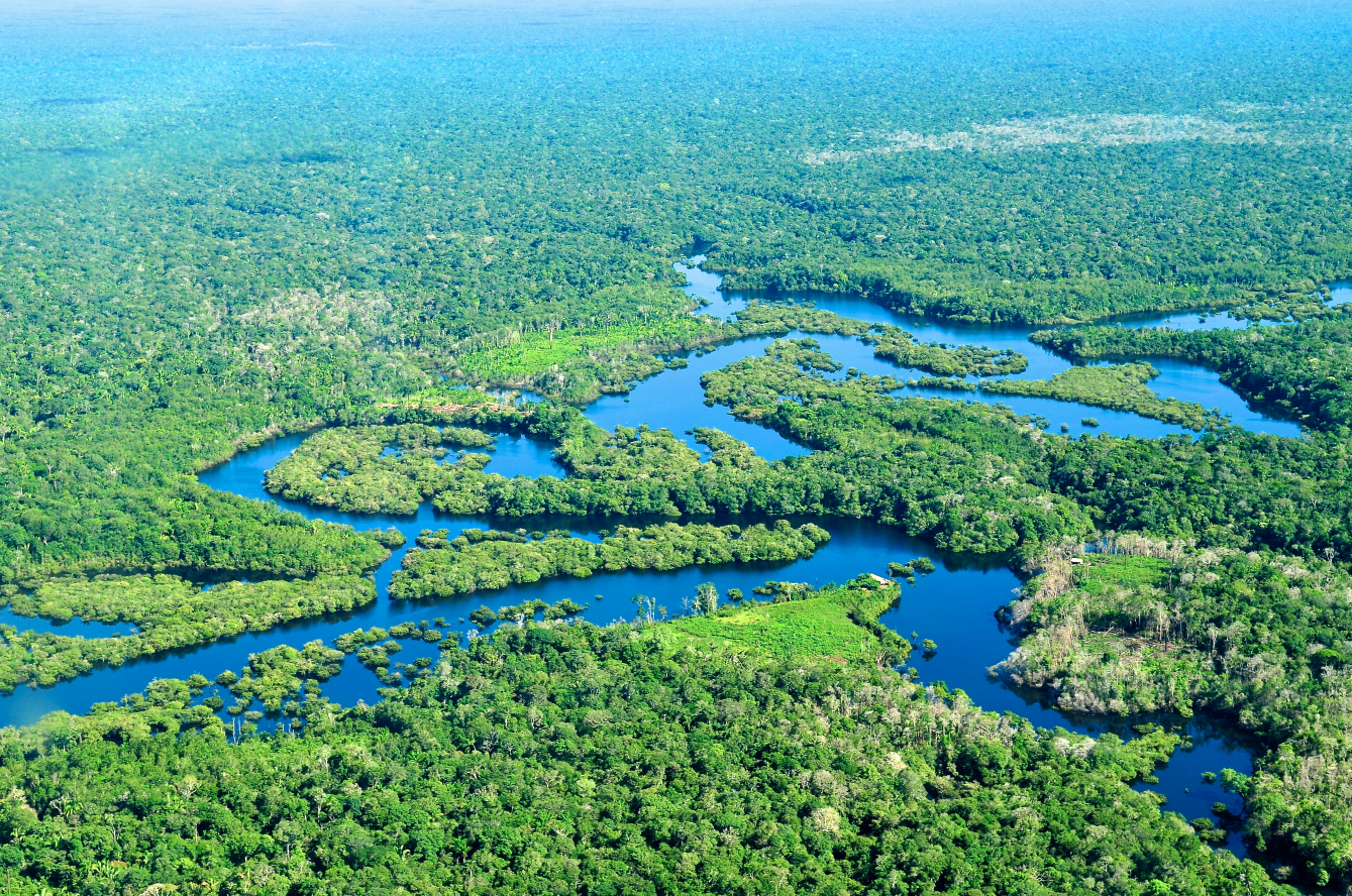 High Quality Amazon River Blank Meme Template