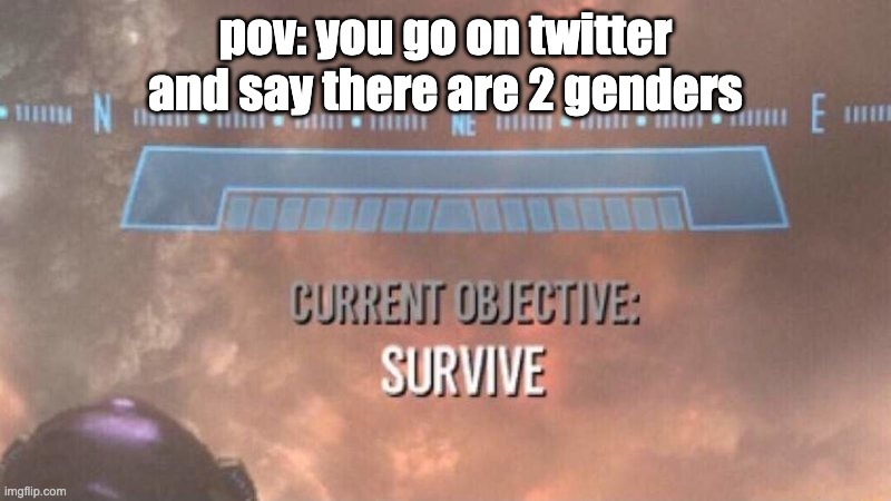 horriable meme #343 | pov: you go on twitter and say there are 2 genders | image tagged in current objective survive | made w/ Imgflip meme maker