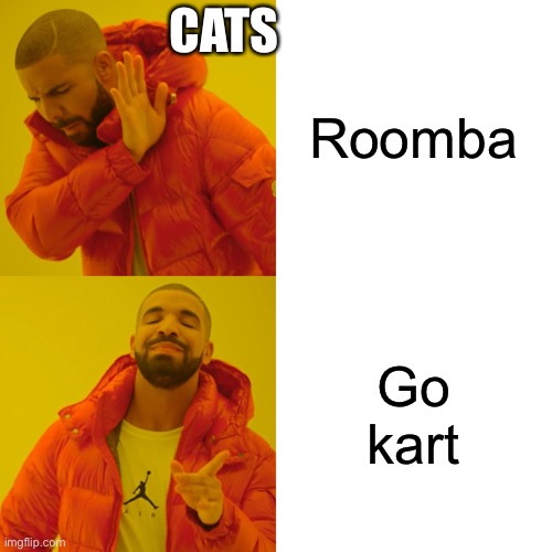 Drake Hotline Bling Meme | CATS; Roomba; Go kart | image tagged in memes,drake hotline bling | made w/ Imgflip meme maker