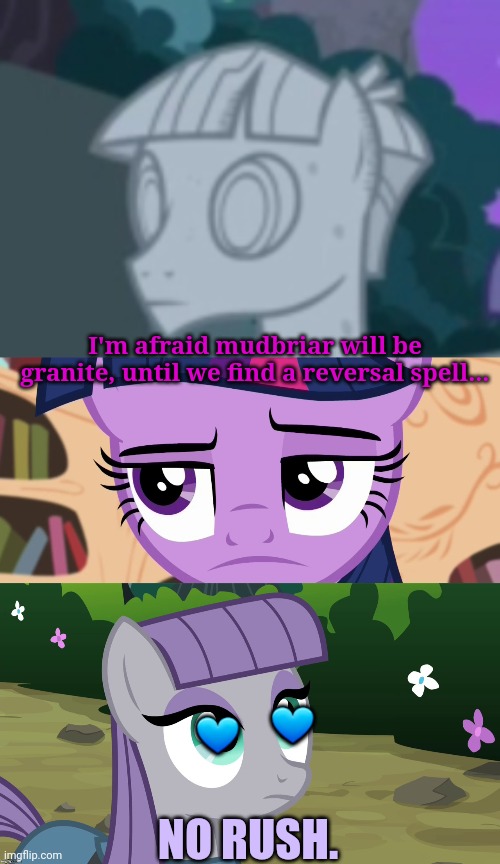I'm afraid mudbriar will be granite, until we find a reversal spell... NO RUSH. ? ? | image tagged in unamused twilight sparkle mlp,maud is interested | made w/ Imgflip meme maker