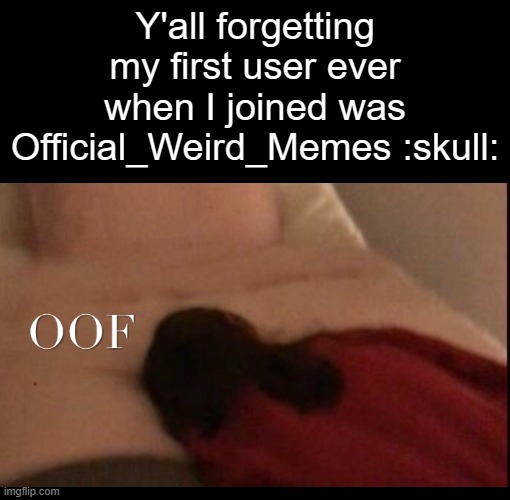 This is actually true, no lies | Y'all forgetting my first user ever when I joined was Official_Weird_Memes :skull: | image tagged in official_weird_memes s friend alli falling | made w/ Imgflip meme maker