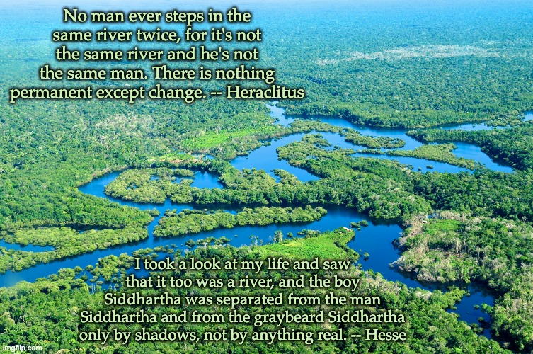 Which is true? | No man ever steps in the same river twice, for it's not the same river and he's not the same man. There is nothing permanent except change. -- Heraclitus; I took a look at my life and saw that it too was a river, and the boy Siddhartha was separated from the man Siddhartha and from the graybeard Siddhartha only by shadows, not by anything real. -- Hesse | image tagged in amazon river,river,life,philosophy | made w/ Imgflip meme maker