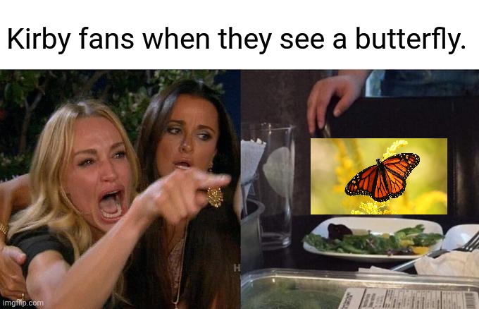 Woman Yelling At Cat | Kirby fans when they see a butterfly. | image tagged in memes,woman yelling at cat | made w/ Imgflip meme maker