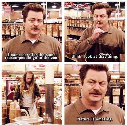 High Quality RON SWANSON NATURE IS AMAZING 4 PANEL Blank Meme Template