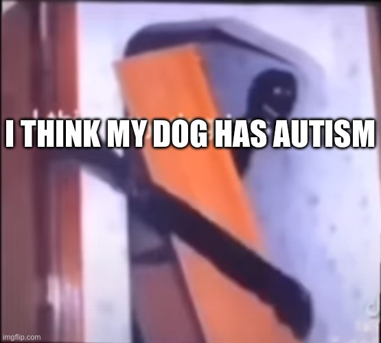 Coming at you from your monitor | I THINK MY DOG HAS AUTISM | image tagged in idk | made w/ Imgflip meme maker