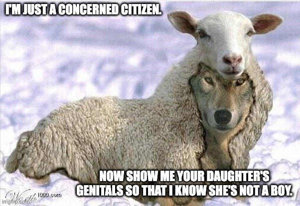 Wolf In Sheeps Clothing | I'M JUST A CONCERNED CITIZEN. NOW SHOW ME YOUR DAUGHTER'S GENITALS SO THAT I KNOW SHE'S NOT A BOY. | image tagged in wolf in sheeps clothing | made w/ Imgflip meme maker