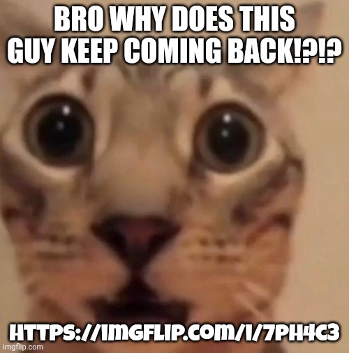 He's like william afton, he always comes back | BRO WHY DOES THIS GUY KEEP COMING BACK!?!? https://imgflip.com/i/7ph4c3 | image tagged in flabbergasted cat | made w/ Imgflip meme maker