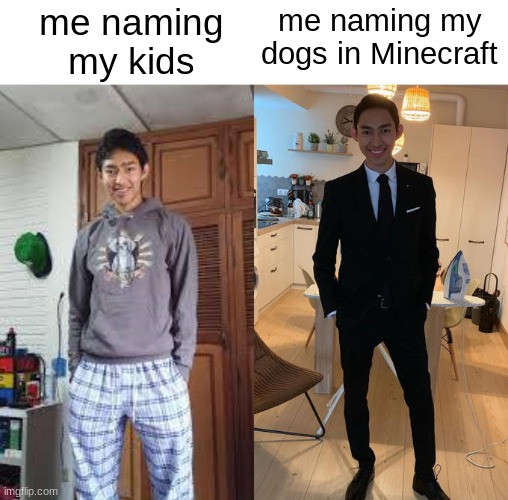 classy fellow | me naming my kids; me naming my dogs in Minecraft | image tagged in fernanfloo dresses up,memes,funny memes,funny,fun,lol so funny | made w/ Imgflip meme maker