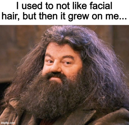 ._. | I used to not like facial hair, but then it grew on me... | image tagged in boss of beards | made w/ Imgflip meme maker