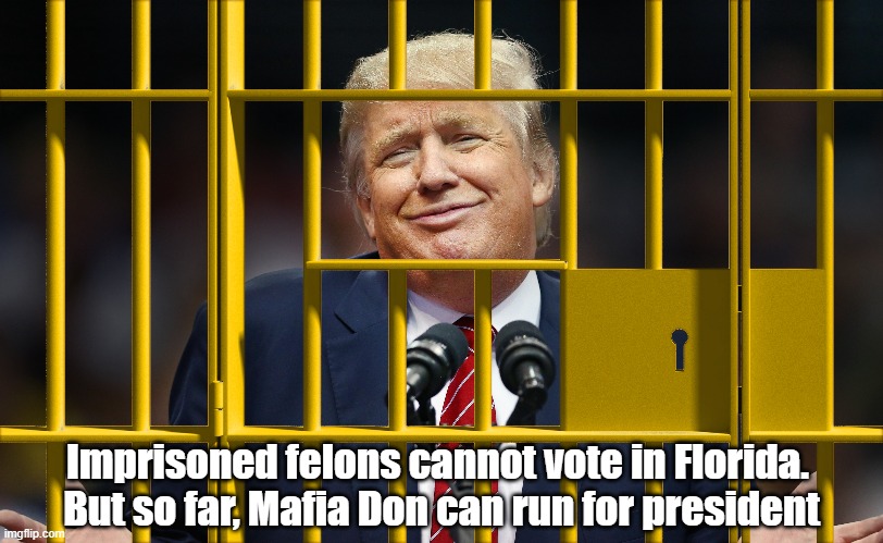 Imprisoned Felons Cannot Vote In Florida | Imprisoned felons cannot vote in Florida. 
But so far, Mafia Don can run for president | image tagged in trump,prisoners cannot vote in florida | made w/ Imgflip meme maker