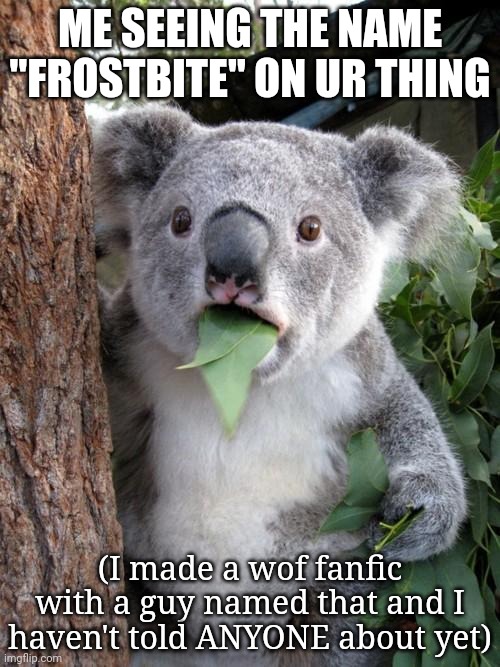 Surprised Koala Meme | ME SEEING THE NAME "FROSTBITE" ON UR THING (I made a wof fanfic with a guy named that and I haven't told ANYONE about yet) | image tagged in memes,surprised koala | made w/ Imgflip meme maker