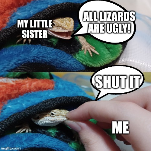 Hawthorn's mouth being shut | MY LITTLE SISTER; ALL LIZARDS ARE UGLY! SHUT IT; ME | image tagged in hawthorn's mouth being shut | made w/ Imgflip meme maker