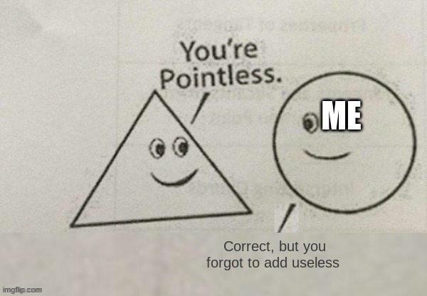You're Pointless Blank | ME; Correct, but you forgot to add useless | image tagged in you're pointless blank | made w/ Imgflip meme maker