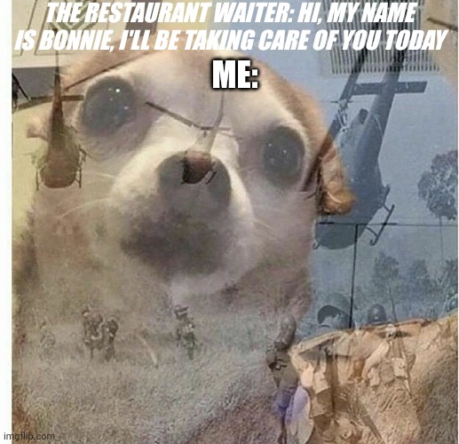 PTSD Chihuahua | THE RESTAURANT WAITER: HI, MY NAME IS BONNIE, I'LL BE TAKING CARE OF YOU TODAY; ME: | image tagged in ptsd chihuahua,fnaf | made w/ Imgflip meme maker
