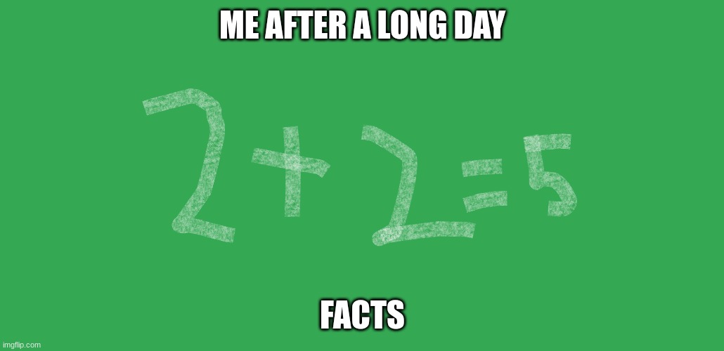 2+2=5 | ME AFTER A LONG DAY; FACTS | image tagged in 2 2 5 | made w/ Imgflip meme maker