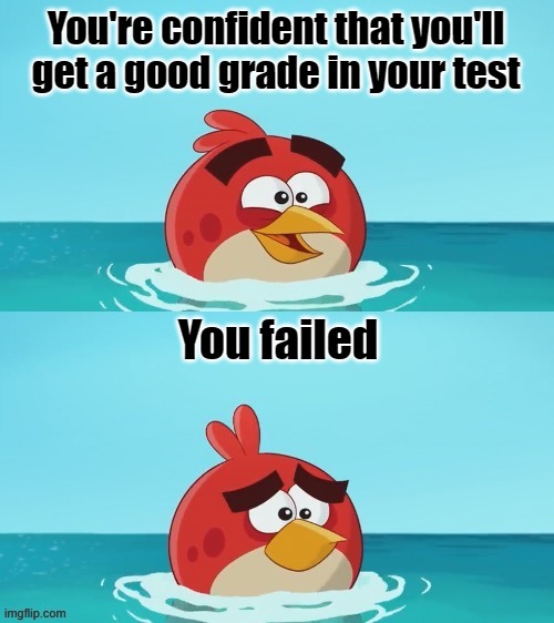 Test | You're confident that you'll get a good grade in your test; You failed | image tagged in red realization | made w/ Imgflip meme maker