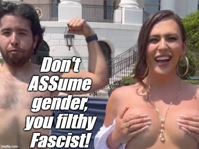 Don't ASSume gender, you filthy Fascist! | made w/ Imgflip meme maker