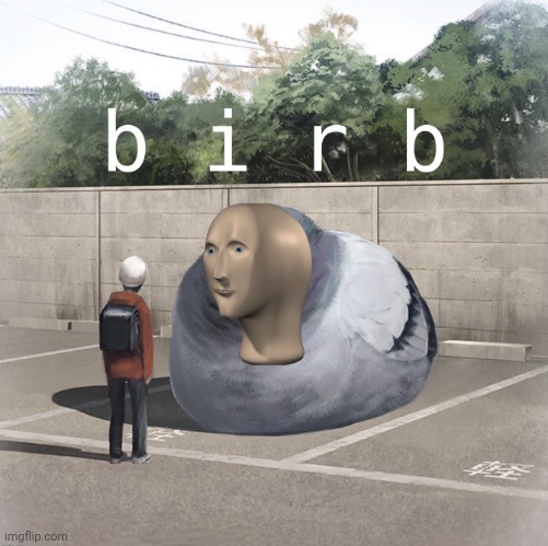 Meme man birb | image tagged in meme man birb | made w/ Imgflip meme maker