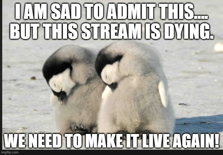 BRING BACK PENGUINS! | I AM SAD TO ADMIT THIS.... BUT THIS STREAM IS DYING. WE NEED TO MAKE IT LIVE AGAIN! | image tagged in penguins | made w/ Imgflip meme maker