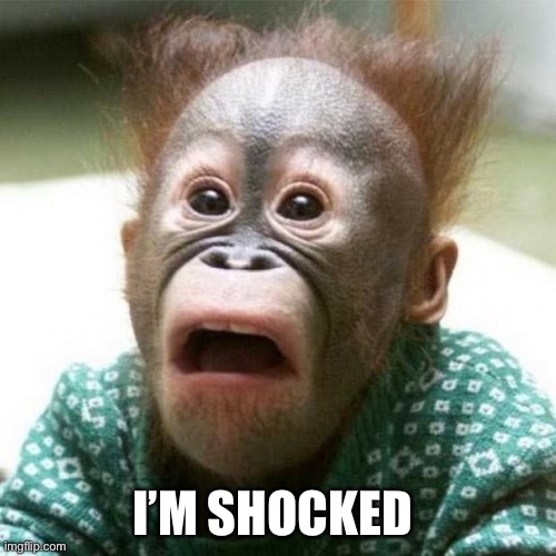 Shocked Monkey | I’M SHOCKED | image tagged in shocked monkey | made w/ Imgflip meme maker