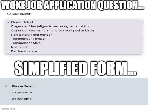 Woke Job Application Question and Simplified Form | WOKE JOB APPLICATION QUESTION... SIMPLIFIED FORM... | image tagged in woke job application question simplified form | made w/ Imgflip meme maker