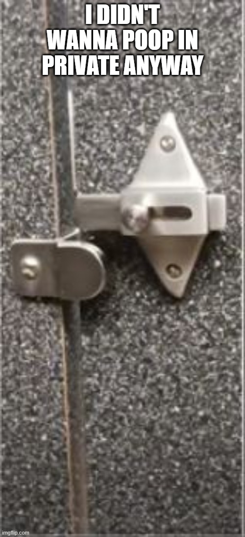 No Lock | I DIDN'T WANNA POOP IN PRIVATE ANYWAY | image tagged in you had one job | made w/ Imgflip meme maker