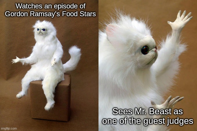 Persian Cat Room Guardian | Watches an episode of Gordon Ramsay's Food Stars; Sees Mr. Beast as one of the guest judges | image tagged in memes,persian cat room guardian | made w/ Imgflip meme maker