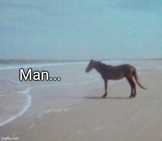 Horse on Beach Man | Man... | image tagged in horse on beach man | made w/ Imgflip meme maker