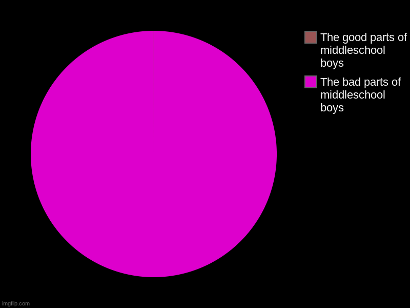 The bad parts of middleschool boys, The good parts of middleschool boys | image tagged in charts,pie charts | made w/ Imgflip chart maker