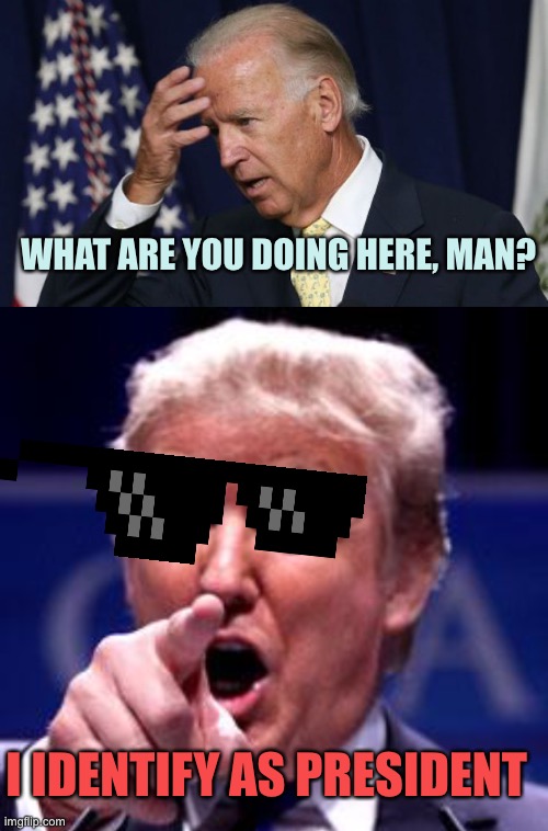 Using their logic against them | WHAT ARE YOU DOING HERE, MAN? I IDENTIFY AS PRESIDENT | image tagged in joe biden worries,trump trademark,memes | made w/ Imgflip meme maker
