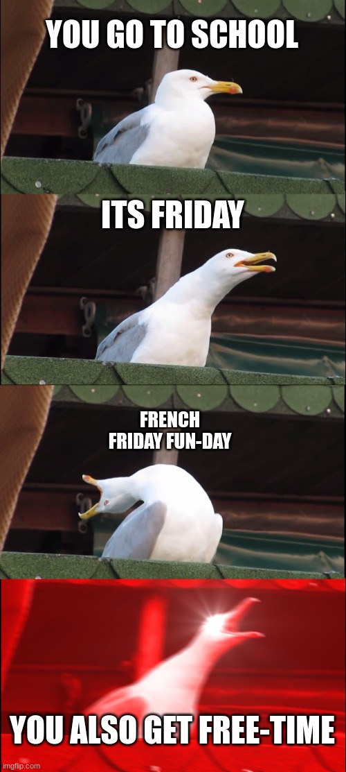 Fridays in my class | YOU GO TO SCHOOL; ITS FRIDAY; FRENCH FRIDAY FUN-DAY; YOU ALSO GET FREE-TIME | image tagged in memes,inhaling seagull | made w/ Imgflip meme maker