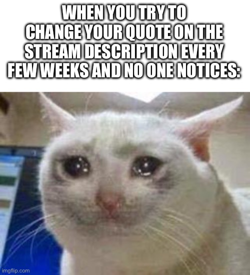 I am the funniest person I know. The meme lord, if you will. A silly goose, perhaps? | WHEN YOU TRY TO CHANGE YOUR QUOTE ON THE STREAM DESCRIPTION EVERY FEW WEEKS AND NO ONE NOTICES: | image tagged in sad cat | made w/ Imgflip meme maker