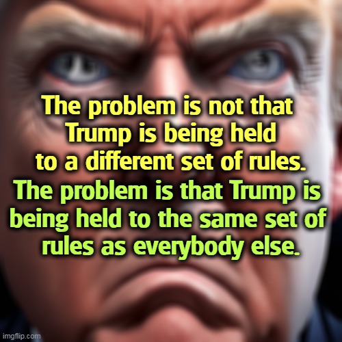 But his boxes! | The problem is not that 
Trump is being held to a different set of rules. The problem is that Trump is 
being held to the same set of 
rules as everybody else. | image tagged in trump,rules,laws,criminal | made w/ Imgflip meme maker