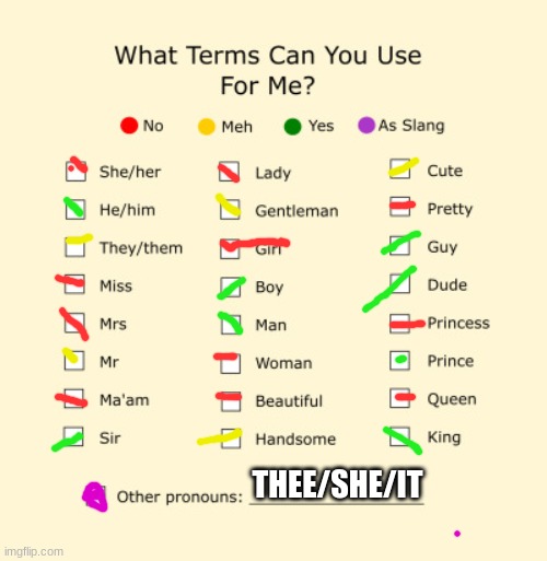 Pronouns Sheet | THEE/SHE/IT | image tagged in pronouns sheet | made w/ Imgflip meme maker