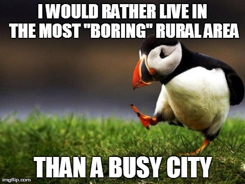 Unpopular Opinion Puffin | I WOULD RATHER LIVE IN THE MOST "BORING" RURAL AREA THAN A BUSY CITY | image tagged in memes,unpopular opinion puffin,AdviceAnimals | made w/ Imgflip meme maker