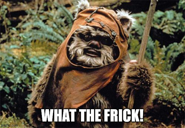 Ewok | WHAT THE FRICK! | image tagged in ewok | made w/ Imgflip meme maker