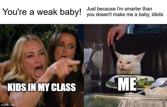 RRROASTED | You're a weak baby! Just because i'm smarter than you dosen't make me a baby, idiots; ME; KIDS IN MY CLASS | image tagged in memes,woman yelling at cat | made w/ Imgflip meme maker