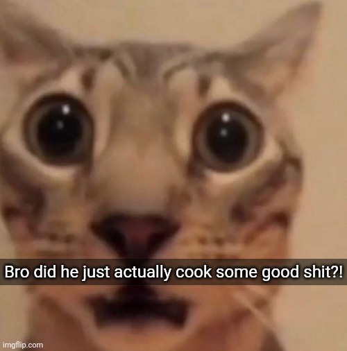 Flabbergasted cat | Bro did he just actually cook some good shit?! | image tagged in flabbergasted cat | made w/ Imgflip meme maker