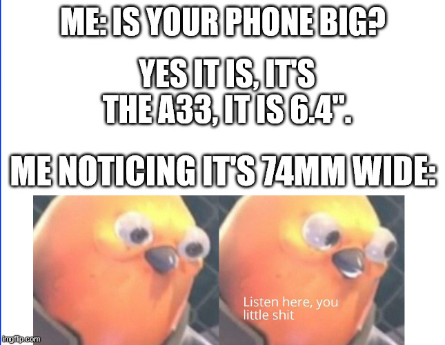 We want our width back from small smartphone crowds. | ME: IS YOUR PHONE BIG? YES IT IS, IT'S THE A33, IT IS 6.4". ME NOTICING IT'S 74MM WIDE: | image tagged in listen here you little shit,phablet,viral meme,dank memes,funny,drake hotline bling | made w/ Imgflip meme maker