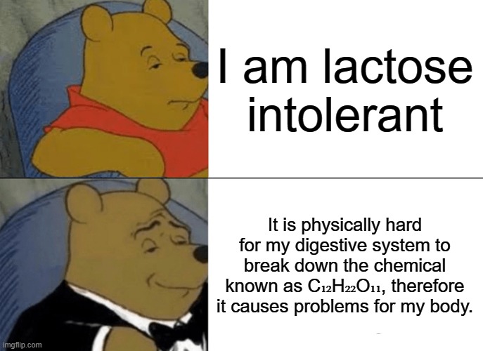 Tuxedo Winnie The Pooh Meme | I am lactose intolerant; It is physically hard for my digestive system to break down the chemical known as C₁₂H₂₂O₁₁, therefore it causes problems for my body. | image tagged in memes,tuxedo winnie the pooh | made w/ Imgflip meme maker