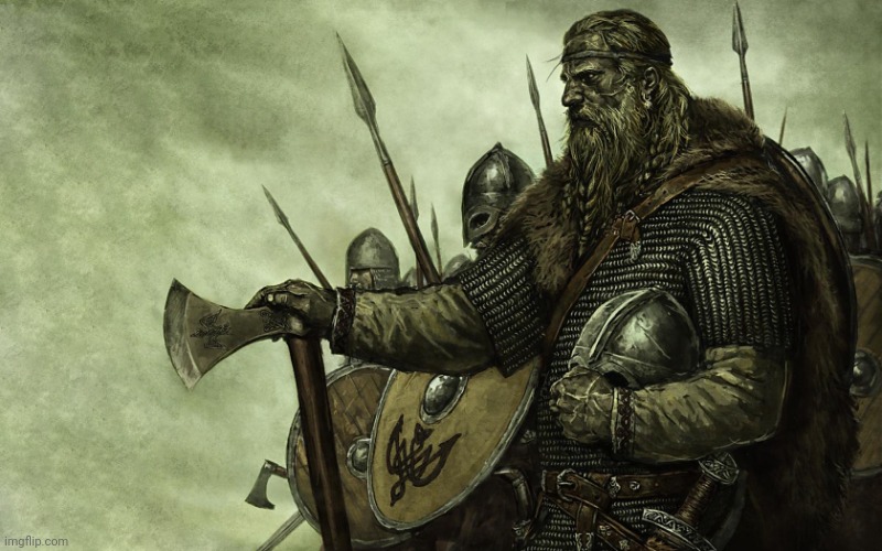 Viking | image tagged in viking | made w/ Imgflip meme maker