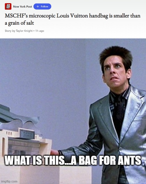 Bag for ants | WHAT IS THIS...A BAG FOR ANTS | image tagged in what is this a house for ants,handbag | made w/ Imgflip meme maker