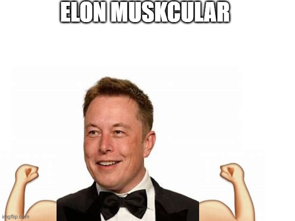 Elon Muscular | ELON MUSKCULAR | image tagged in elon musk,funny memes | made w/ Imgflip meme maker