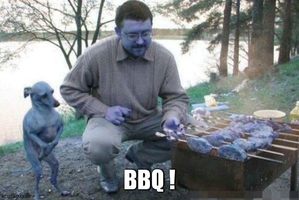 Dog Waiting for BBQ | BBQ ! | image tagged in dog waiting for bbq | made w/ Imgflip meme maker